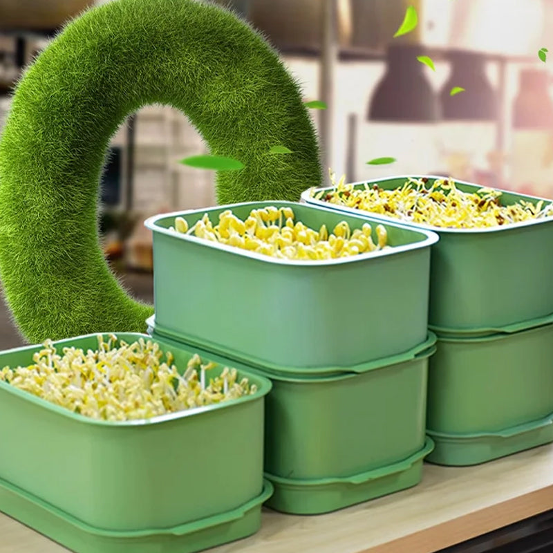 🔥Limited stock available 50% OFF🔥Stackable Bean Sprout Growing Box - Multi-layer Design, Perfect for Home Cultivation, Healthy Green Living!