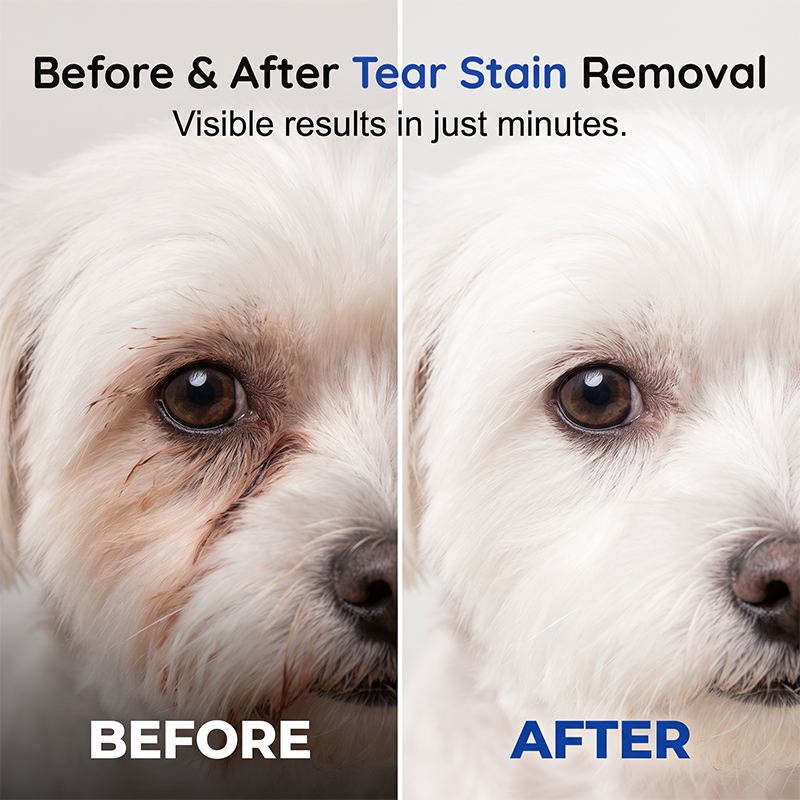 🐶Pet Ionic Water Cleaning Spray – tear stain removal, waterless grooming, mild safe formula, multi-pet compatible. Household pet daily care essential!